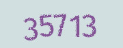 Security check